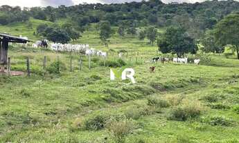 Imagem 3: Fazenda 32 alqueires a venda Caldas Novas - GO