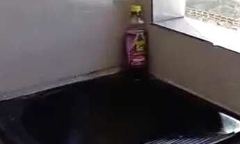 Imagem 4: Aluga-se casa Casa com 1 dormitório