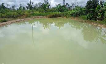 Imagem 3: Sítio no manaquiri 60 de frente por 500 de fundo