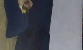 Imagem 3: Aluga-se casa em Nova Brasília de itapua