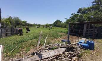 Imagem 5: Terreno de 4 HE em Palhoça-SC