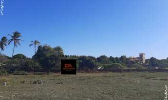 Imagem 7: Loteamento No Iguape