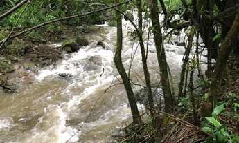 Imagem 5: Linda chácara com Rio Corrente