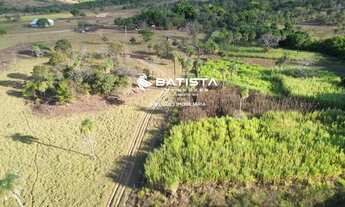Imagem 7: Fazenda 70 Alqueires, 85 Km de Palmas