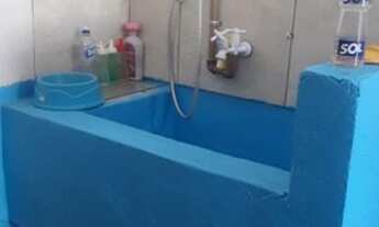 Imagem 5: Vende-se Casa de Ração mais de 1 ano