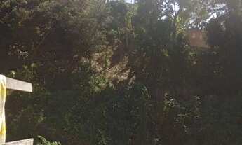 Imagem 2: Vendo área 19.000