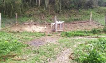 Imagem 6: Excelente Chácara no Alto da Mantiqueira, 5.000m² Delfim Moreira/MG