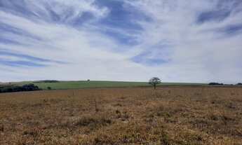 Imagem: Fazenda a venda em Campo Alegre - Go - 870