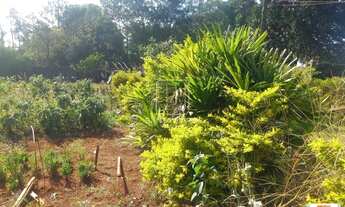 Imagem 3: Chacara (chacara) 2 dormitórios, cozinha planejada, em condomínio fechado