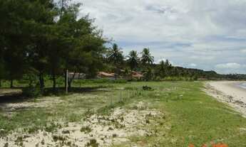 Imagem 2: Terreno Beira Mar Praia de Pitimbu PB