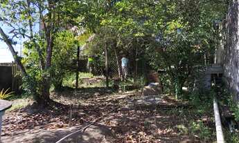 Imagem 4: Terreno parque verde 2