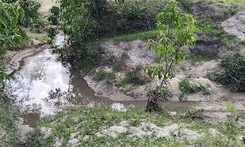 Imagem 5: Chácara 4000m², muito arborizada, Energia, Local Agradavel, Entre Guapo/Aragoiânia