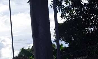 Imagem 5: Aluga-se Casa Nova Cidade R$1.100