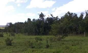 Imagem 4: Fazenda Fazenda / sítio com venda por R$1.200.000