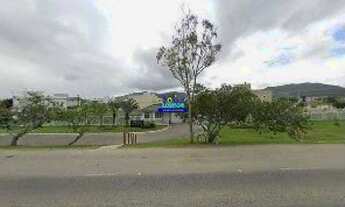 Imagem 6: LINDOS TERRENOS NO CAMPECHE