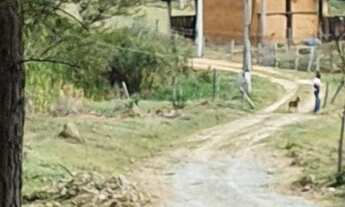 Imagem 6: Sítio para Venda em Morungaba, Zona Rural, 3 dormitórios, 2 banheiros