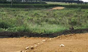 Imagem 2: Fazenda/Sítio/Chácara para venda com 1000 metros quadrados em Barra Nova - Barra do Choça