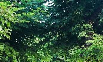 Imagem 4: PORTO ALEGRE - Apartamento Padrão - Jardim Itu