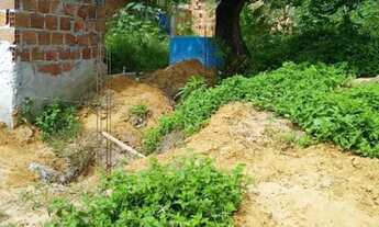 Imagem 2: TERRENO NA ILHA DE GAMELEIRA