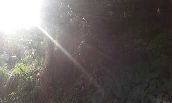 Imagem 5: WSL - 102 - Lourenço - Mutuá-SG - terreno - 80