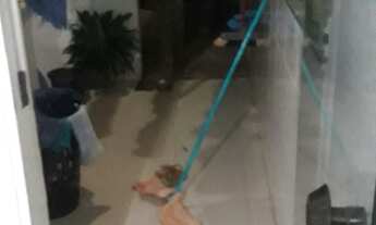 Imagem 2: Casa setor maisa para alugar