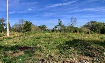 Imagem: Chacrinha - Pego seu carro ou moto no brick