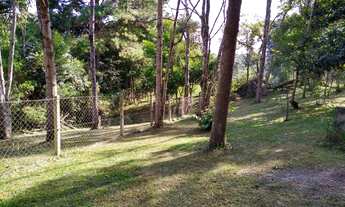 Imagem 3: Chácara perto de Curitiba - tanque e piscina