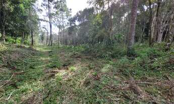 Imagem 7: Belo terreno em Campo Alegre