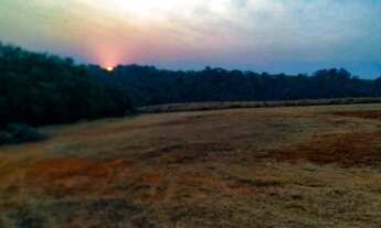 Imagem: EXCELENTES TERRENOS PARA CHÁCARA EM ITAPETININGA/SP