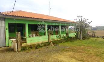 Imagem 6: CHÁCARA MOLHADA DE 04 ALQUEIRES, COM CASA, À VENDA NA GLEBA ITACOLOMI EM CAMBIRA - PR