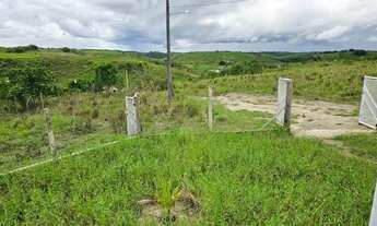 Imagem 5: RANCHO COM 7 HECTARES EM SÃO LUIS / FLEXEIRAS