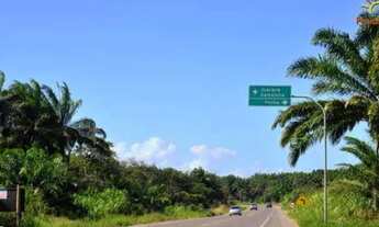 Imagem 4: Venda de terreno ilha vera cruz