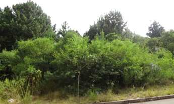 Imagem 4: Terreno para Venda - 0m², 0 dormitórios, Serraria