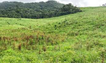 Imagem 4: Anitapolis - Alfredo Wagner vendo sítio