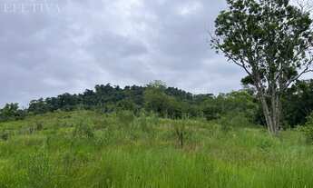 Imagem: Indaial - Terreno Padrão - Encano