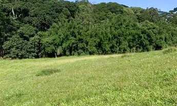 Imagem 6: Ml - Vendo Terreno com ruas abertas