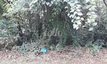 Imagem 2: São Paulo - Terreno Padrão - Tucuruvi