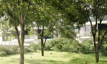 Imagem 5: Melhor lançamento na baixada