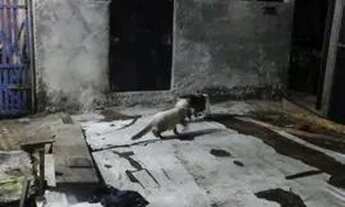 Imagem: Vendas de casa