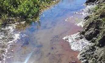 Imagem 7: Vendo urgente, linda chácara no centro de cidadezinha