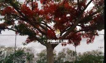 Imagem 6: Terreno à venda, 300 m² por R$ 244.000,00 - Campos Do Conde - João Aranha - Paulínia/SP