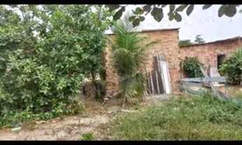 Imagem 2: Terreno com ponto comercial