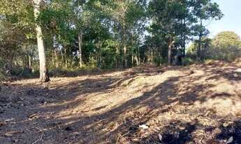 Imagem 3: Lote em Aracruz (Itaparica/Santa Cruz