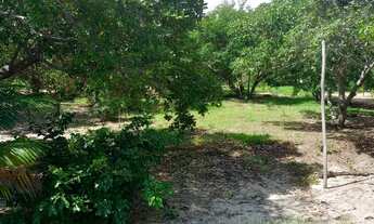 Imagem 6: Vendo chácara em Luzimanges Tocantins