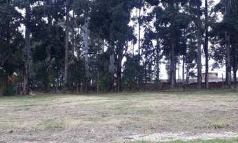 Imagem 2: Terreno bem localizado