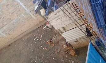 Imagem 5: Vende-se um terreno em São Cristóvão