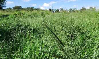 Imagem 6: Sitio Chácara com venda por R$1.400