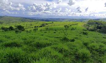 Imagem 3: Fazenda município de Abadiânia 82 alqueires