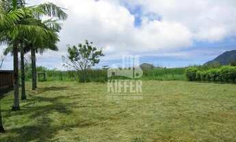 Imagem 7: Sítio de 10.000m² à Venda em Vargem Grande Estrutura Completa e Alto Potencial Comercial