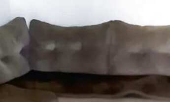 Imagem 3: Vendo casa no campo limpo